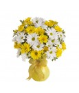Bouquet Marguerites et plus de Teleflora Bouquet Marguerites et plus de Teleflora